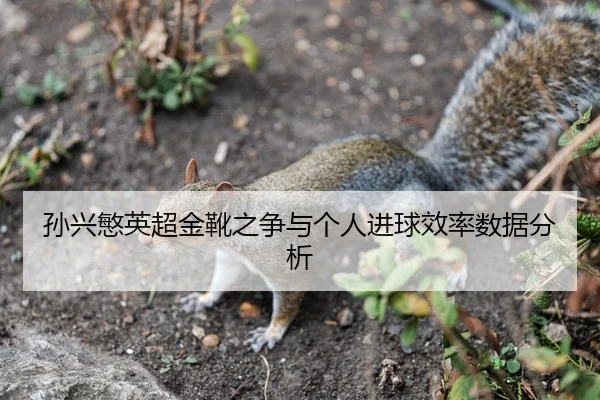 孙兴慜英超金靴之争与个人进球效率数据分析 | loljiangcai